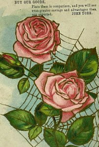 Vintage Postcard Embossed Floral Rose Muslin Underwear Ad John York Early 1900s
