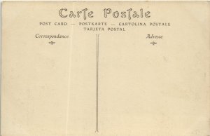 CPA PAU Le Chateau (1142508)