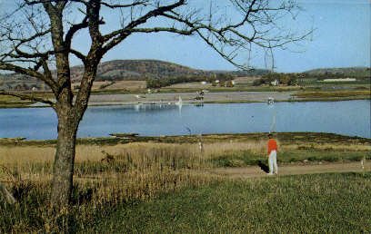 Spruce Run Resevoir ,Hunterdon County in Clifton, New Jersey