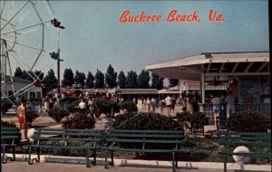 Buckroe Beach Virginia VA Ferris Wheel Hampton Resort Vintage Postcard
