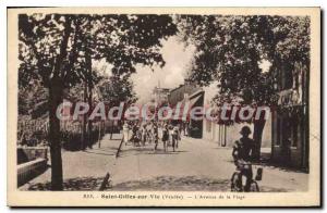 Postcard Old Saint Gilles Life On The Avenue Of The Beach