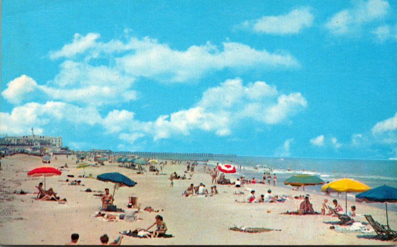 Virginia Virginia Beach Sunbathers Along The Beach