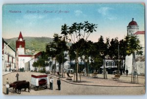 Madeira Portugal Postcard Avenue Dr. Manuel d'Arriaga c1910 Antique Unposted