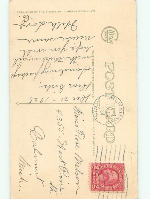 Divided-Back BIRDS SCENE Pretty Postcard AA9264