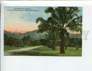 3172183 GREETINGS from JAMAICA Botanical Gardens Hope Vintage