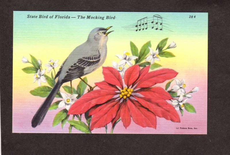FL State Bird of Florida Flower Mockingbird Mocking Bird Postcard Linen
