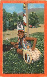 American native ethnic type  The Little Chief  Cherokee linen postcard 