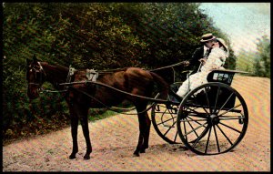 Horse Cart BIN