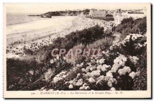 Old Postcard Hortensins Biarritz and the beach