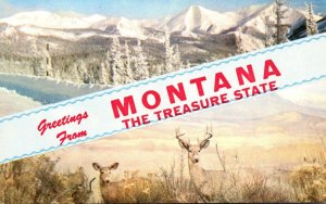 Montana Greetings From Montana