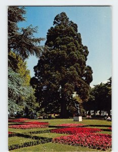 Postcard Le Parc, Ouchy, Lausanne, Switzerland