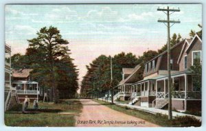 OCEAN PARK, Maine ME ~ Street Scene TEMPLE AVENUE looking West c1910s  Postcard