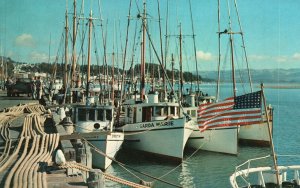 Vintage Postcard Fishing Fleet Shelter For Fishing Boats Morro Bay California CA