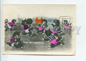 438684 RUSSIA THIELE cats playing football 1938 year photo tinted postcard