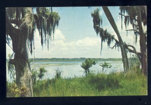 Sarasota, Florida/FL Postcard, Myakka State Park, View Of Lake