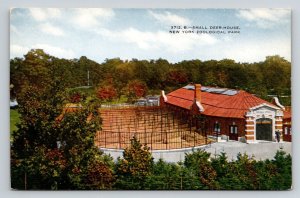 Small Deer House   Bronx Zoo  New York Zoological Park    Postcard