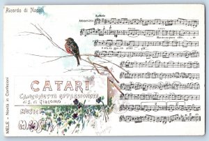 c1905 Ricordo Di Napoli Catari Song Bird Italian Music Unposted Antique Postcard