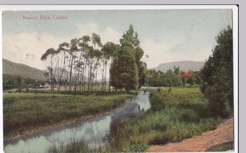 Sri Lanka / Ceylon; Nuwara Eliya PPC, Colombo 1910 by Plate & Co 