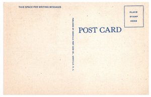 Vintage Postcard Front Veranda Robert E. Lee Hall Blue Ridge NC