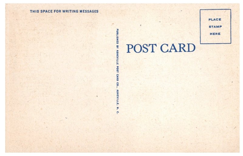 Vintage Postcard Front Veranda Robert E. Lee Hall Blue Ridge NC