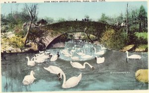 Vine Arch Bridge, Central Park - New York City Postcard