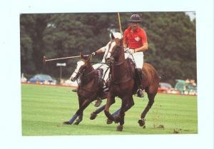 p1026 - Prince Charles plays Polo at Windsor - Royalty postcard