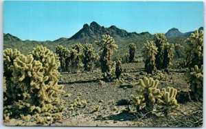 Postcard - Desert Country - Colorado