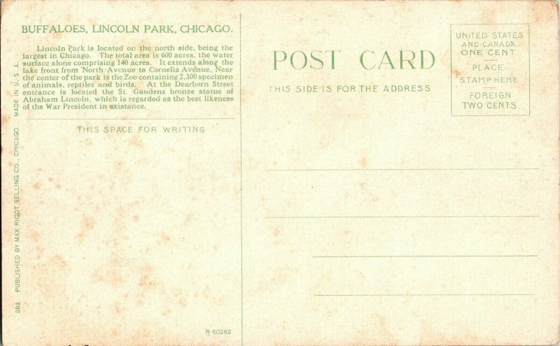 Buffaloes Lincoln Park Chicago Cornelia Avenue Dearborn St. Antique Postcard DB 