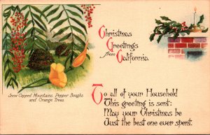 California Christmas Greetings Showing Snow Capped Mountains Pepper Boughs an...