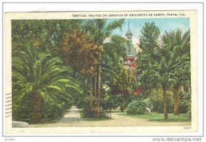 Tropical Foliage on Grounds of University of Tampa, Tampa, Florida,  PU-1939