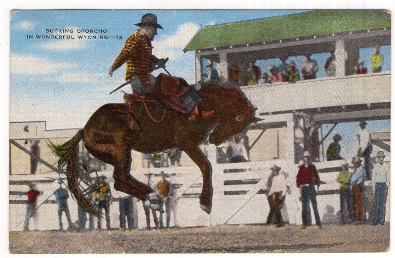 Bucking Broncho In Wonderful Wyoming