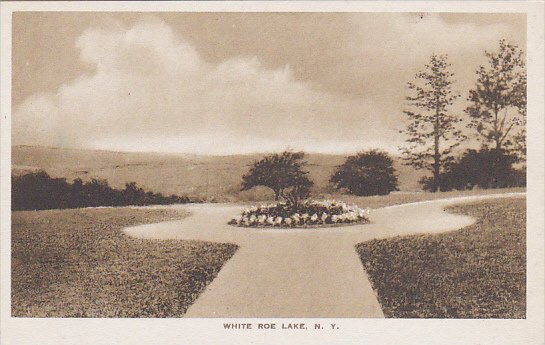 The Grounds Livingston Manor White Roe Lake New York Albertype