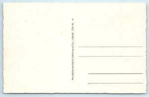 3 Postcards OLDENBURG, GERMANY ~ Schloss, Park & Pond