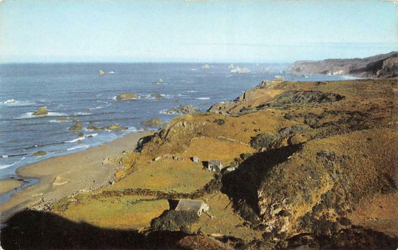 BROOKINGS Oregon Coast Azalea State Park 76 Union Oil c1950s Vintage Postcard