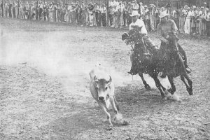 Hope Arkansas Rodeo Scenic Cowboys Vintage Postcard JH230734