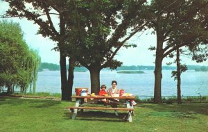 USA Marshbank Metropolitan Park Cass Lake Michigan Chrome Postcard 04.05