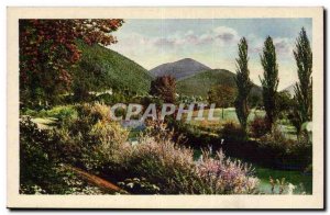 Italy - Italy - Trees - The Companion - Old Postcard