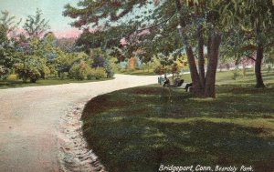 Beardsley Park Tree Shades Picnic Bridgeport Connecticut Vintage Postcard 1906