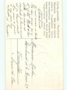 Divided-Back BIRDS SCENE Pretty Postcard AA8831