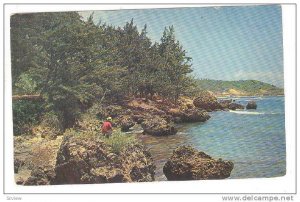 Fishing at Bath Coast, Saint Joseph, Barbados, West Indies, 40-60s