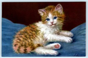 FLUFFY ORANGE KITTEN CAT Artist Signed A. LAMPE Stehli Switzerland Postcard