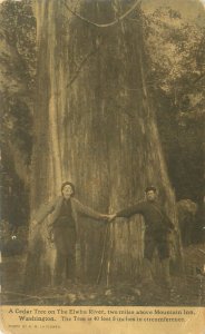 Washington 40' 8 Cedar Tree on Elwha River, Men, 1912 Postcard, Expo Cancel