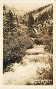 Postcard RPPC California Fresno 1933 South End Sequoia Park 23-4351