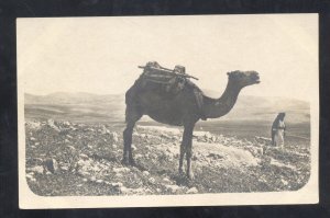 RPPC MOUNT GILBOA CAMEL WOMAN RIDER VINTAGE REAL PHOTO POSTCARD