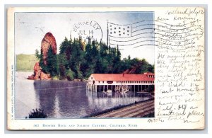 Rooster Rock and Salmon Cannery Columbia River Oregon OR UDB Postcard O17