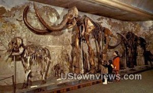 University of Nebraska State Museum in Lincoln, Nebraska