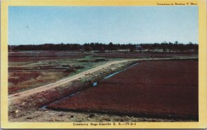 Massachusetts Cranberry Bogs Edaville Railroad Vintage Postcard C079