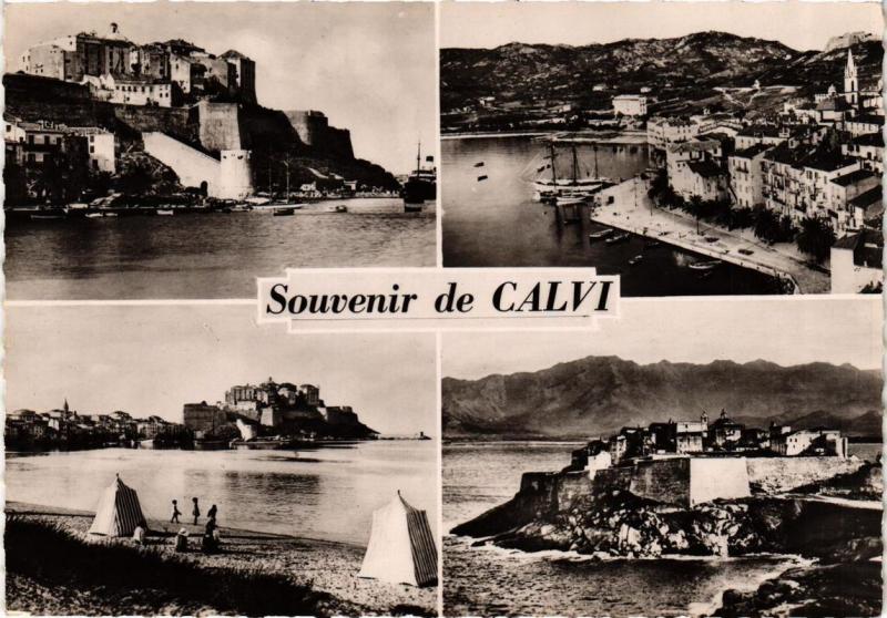 CPM CORSE - CALVI - Souvenir (710965)