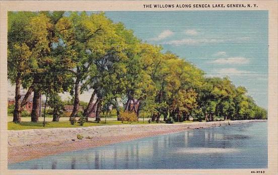 The Willows Along Seneca Lake Geneva New York