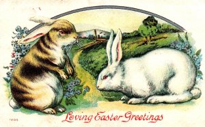 Loving Easter Greetings - White and Brown Rabbits - in 1911